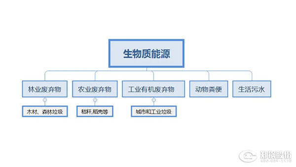 生物質(zhì)鍋爐,生物質(zhì)能源利用,新機(jī)遇